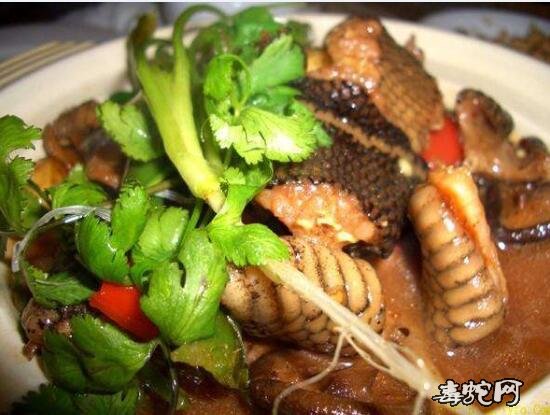 蛇肉照片、回顾一下被禁食的蛇肉美餐都是什么样子的？