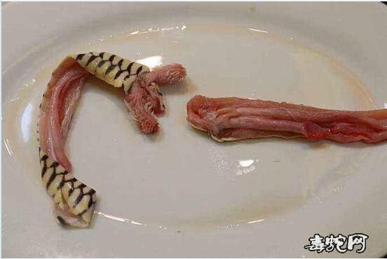 蛇肉照片、回顾一下被禁食的蛇肉美餐都是什么样子的?