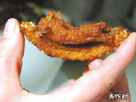 蛇肉照片、回顾一下被禁食的蛇肉美餐都是什么样子的?