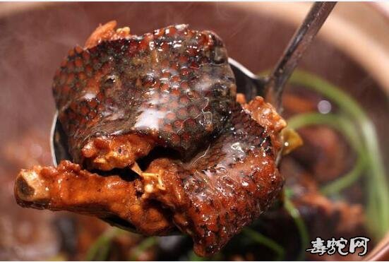 南蛇肉图片、被禁食的各种南蛇肉美食图片回顾!