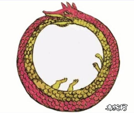 食尾蛇图片大全、传说中的食尾蛇是什么样的一种动物?