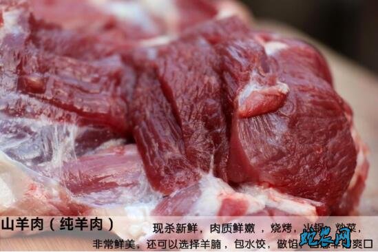 2020年5月26日山羊肉价格行情、今日山羊肉多少钱一斤?