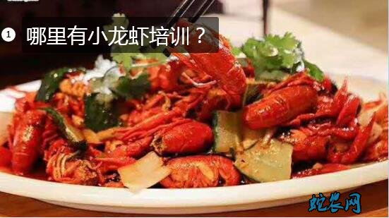 哪里有小龙虾培训?