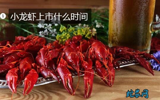 小龙虾上市、小龙虾上市季节时间什么时候?