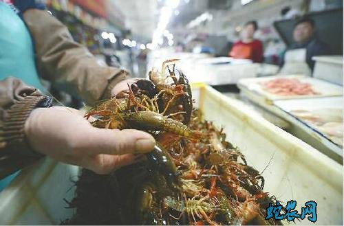 小龙虾上市、小龙虾上市季节时间什么时候?