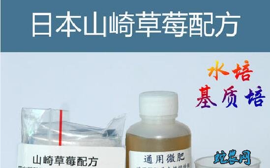 植物无土栽培营养液