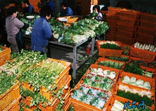 5月29日农批价格指数下降0.19个点、猪肉平均价格为38.65元!