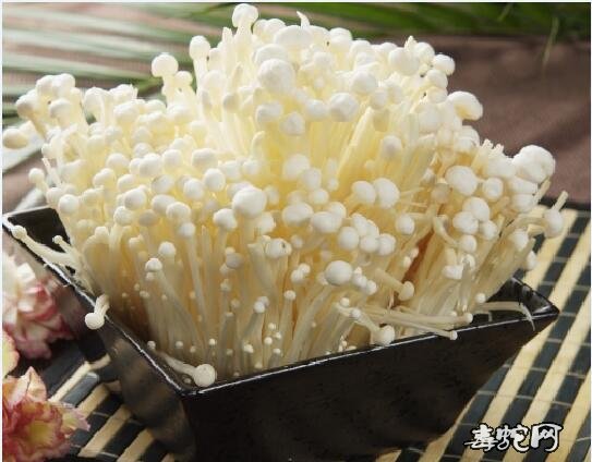 药膳食疗菜谱:三丝金针菇做法