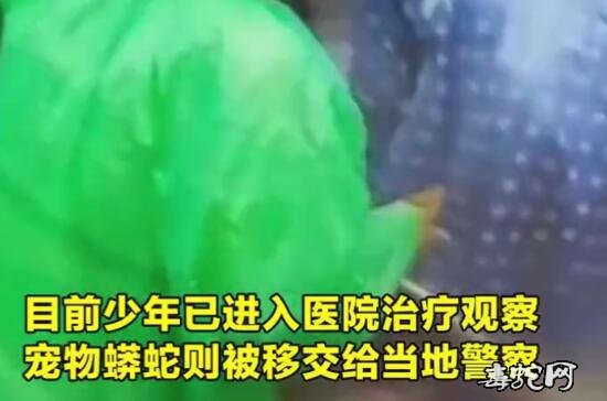 印尼少年遭蛇勒颈倒地大家不敢靠近! 害怕是“新冠发作”!
