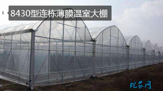 8430型连栋薄膜温室大棚