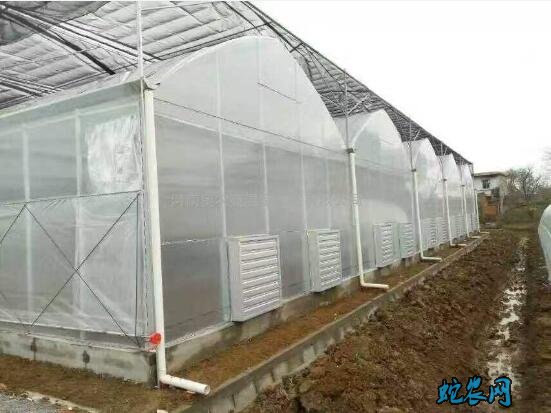 8430型连栋薄膜温室大棚