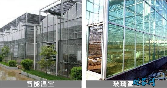 大棚建设、大棚建设厂家哪家质量好?