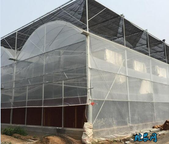 大棚建设、大棚建设厂家哪家质量好?