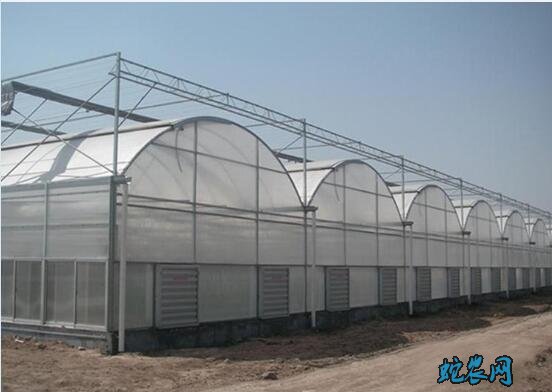 大棚建设、大棚建设厂家哪家质量好?