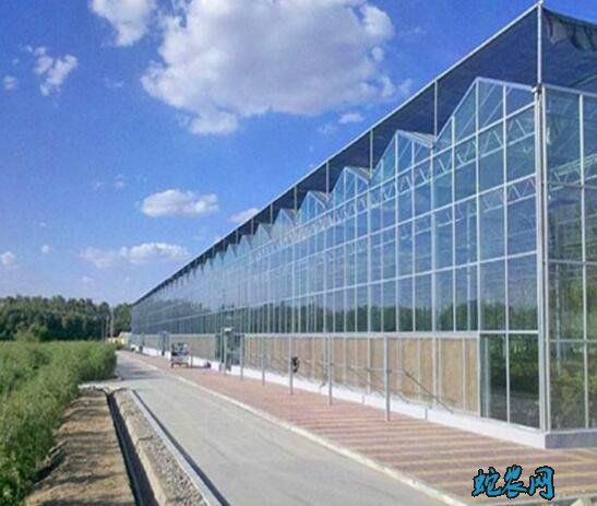 大棚建设、大棚建设厂家哪家质量好?