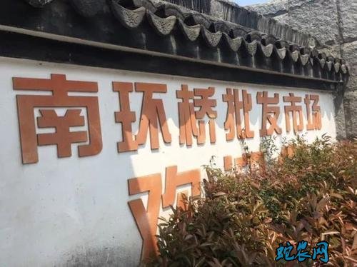 苏州南环桥市场:叶菜价格上涨、鸡蛋价格下滑至5.8元/公斤!