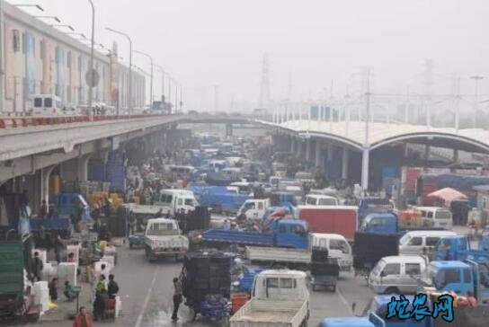 威海水产品市场:休渔期即满、活爬虾价格继续上涨!