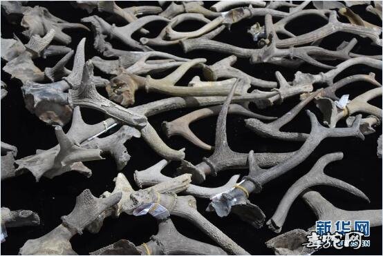 8000年前史前贝丘遗址!浙江余姚发现早于河姆渡文化1000年的史前遗址!
