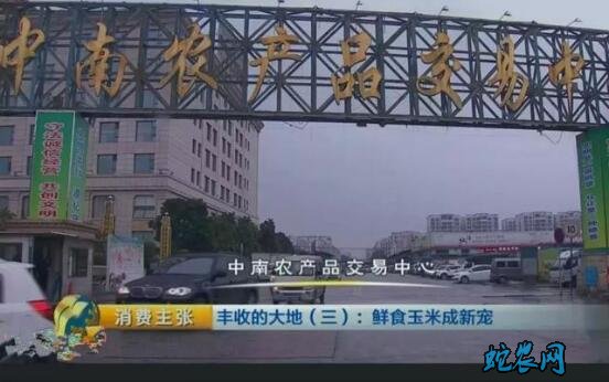佛山中南市场：猪、牛、羊交易情况一周分析（5月18日-5月24日）