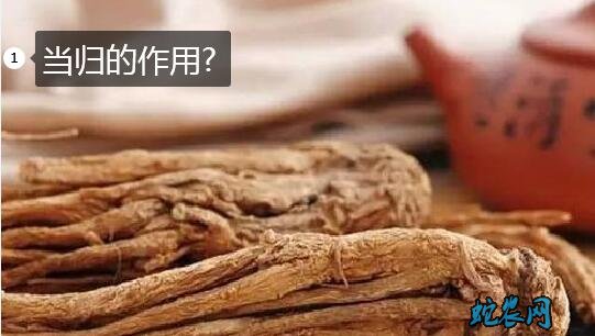 当归的作用、中药当归有哪些作用？