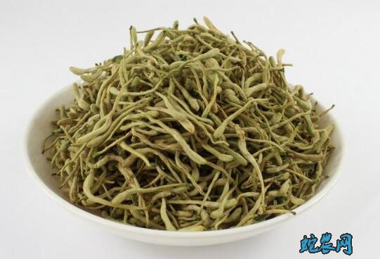 金银花价格