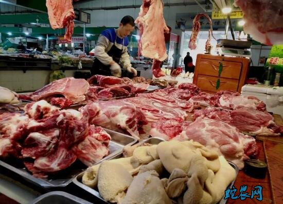 全国猪肉零售均价每公斤下降13元！生猪养殖行业情况如何？