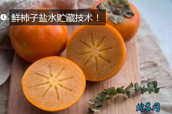 鲜柿子盐水贮藏技术!