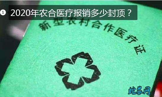 2020年农合医疗报销多少封顶?