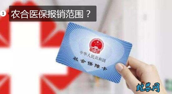 农合医保报销范围？