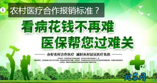 2020年农村医疗合作报销标准?