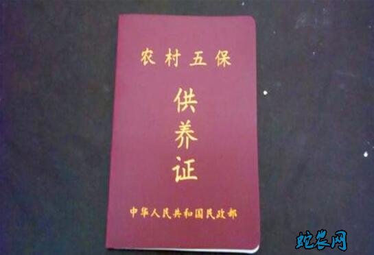 现在农村有什么政策、2020年五保户最新政策?