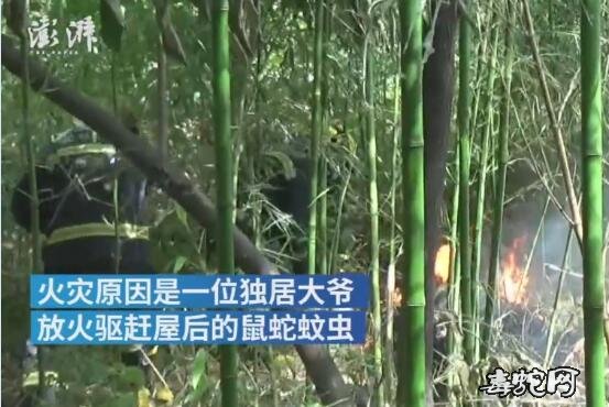 安徽淮南:独居老人担心房后毒蛇咬自己放火驱赶引燃竹林!