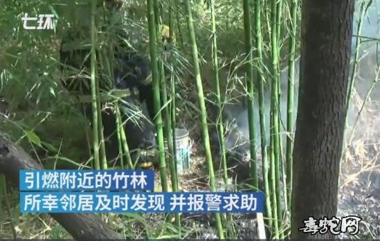 安徽淮南:独居老人担心房后毒蛇咬自己放火驱赶引燃竹林!