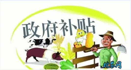 今年农村有哪些补贴政策?2020年农民补贴政策一览表!