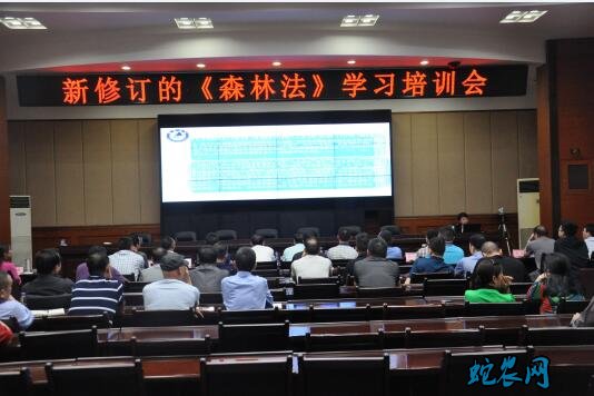 新修订新森林法将于今年7月实施!家里有林地的农民要了解!