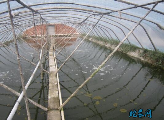 水产养殖疾病防治:浙江省2020年6月水产养殖病害预测预报