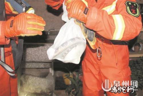 太危险了!惠安银环蛇半夜进一居民屋“纳凉”!