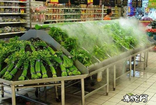 安徽芜湖超市频现“一元菜”!蔬菜价格真跌了吗?