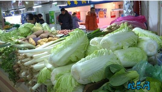 白菜价格最新行情、2020年白菜多少钱一斤?