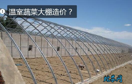 温室蔬菜大棚造价?
