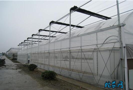 温室蔬菜大棚造价?