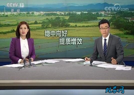 5月份农业农村经济运行向好态势持续巩固