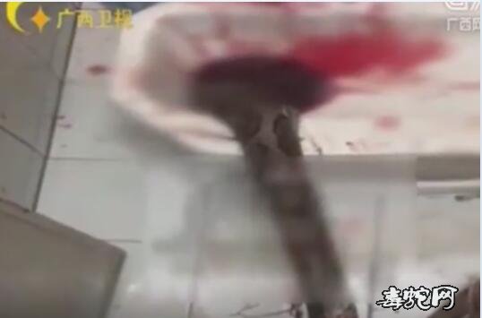 3.5米巨蟒钻进马桶!男子上厕所被咬住下体惨不忍睹!