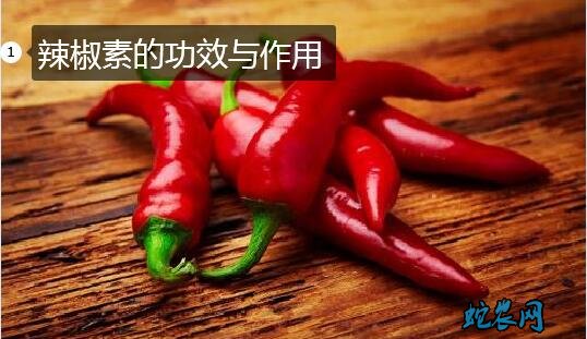 辣椒素、辣椒素的功效与作用