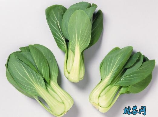 油菜和青菜、油菜和青菜的区别?是一种菜吗?