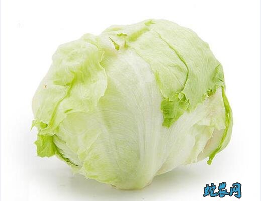 圆生菜、圆生菜和生菜区别?