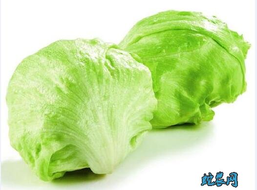 圆生菜、圆生菜和生菜区别?