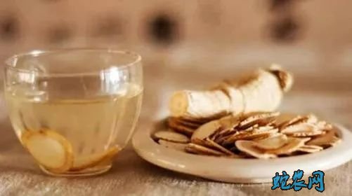 中药当归、中药当归的功效和作用？