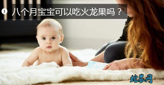 八个月宝宝可以吃火龙果吗?