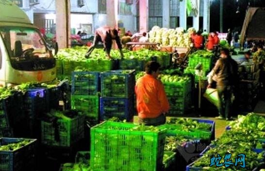 广东汕头市场:蔬菜均价同比上周持续上涨!